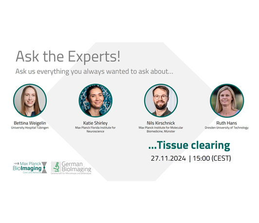 Ask the experts: Tissue Clearing